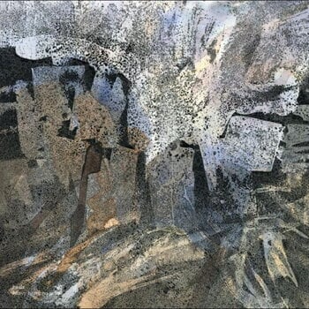 LP ploča Baula - Heavy Heart, No Tears (LP) - 1