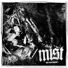 Vinyl Record Mist - No Esteem (LP)