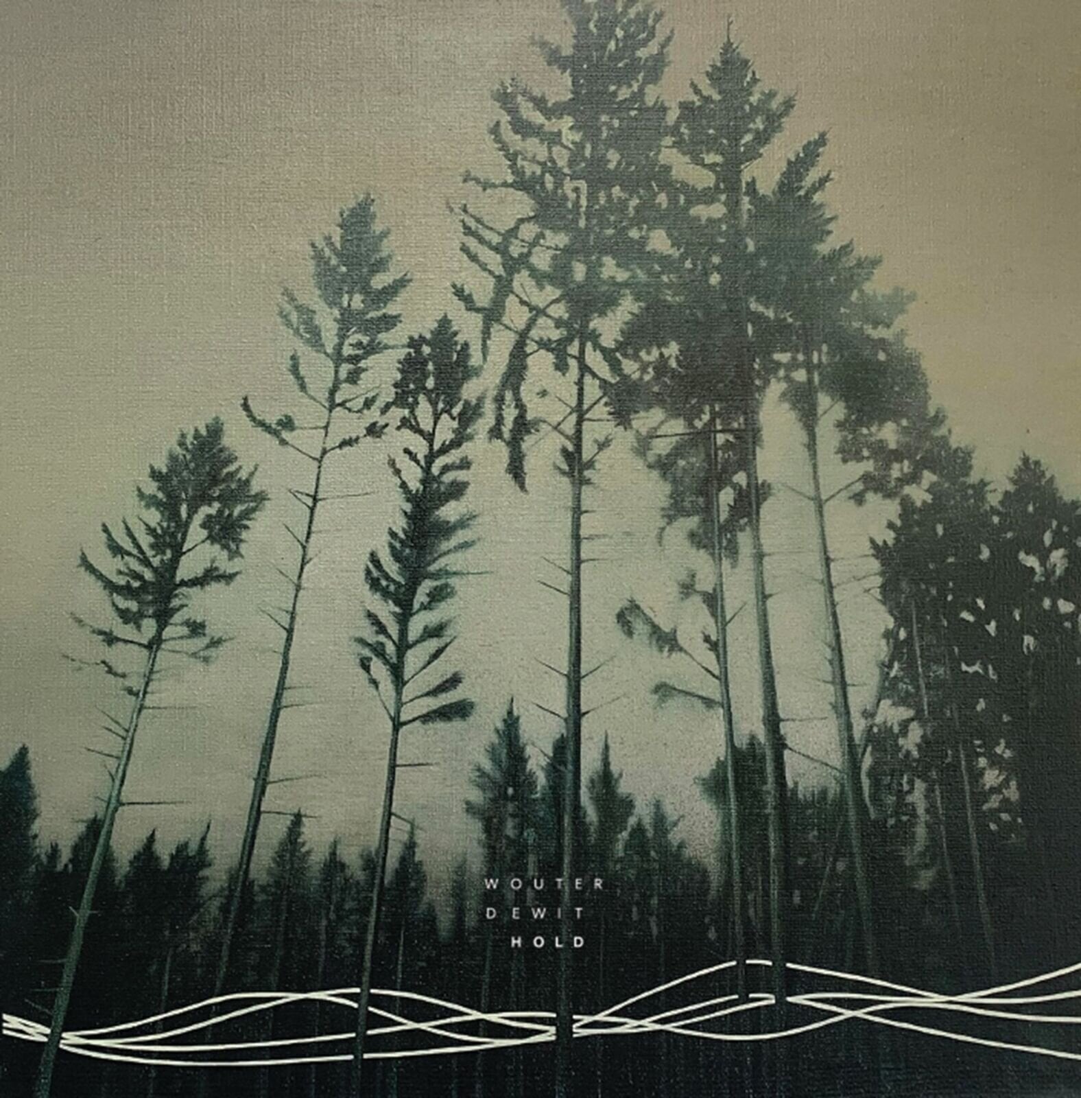 LP platňa Wouter Dewit - Hold (LP)