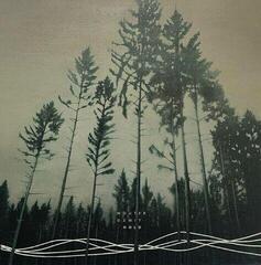 LP platňa Wouter Dewit - Hold (LP)