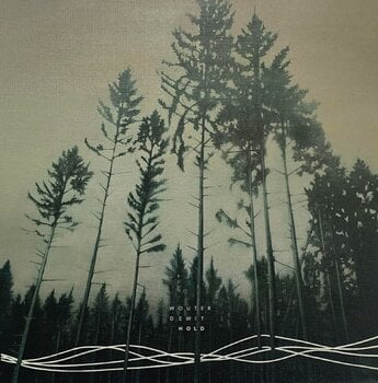 LP platňa Wouter Dewit - Hold (LP) - 1