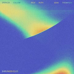 Vinyl Record Shrunken Elvis - Shrunken Elvis (LP)