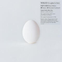 Disco de vinil Wilco - A Ghost Is Born (Reissue) (Box Set) (9 LP + 4 CD)