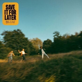 Vinylplate BLUAI - Save It For Later (LP) - 1