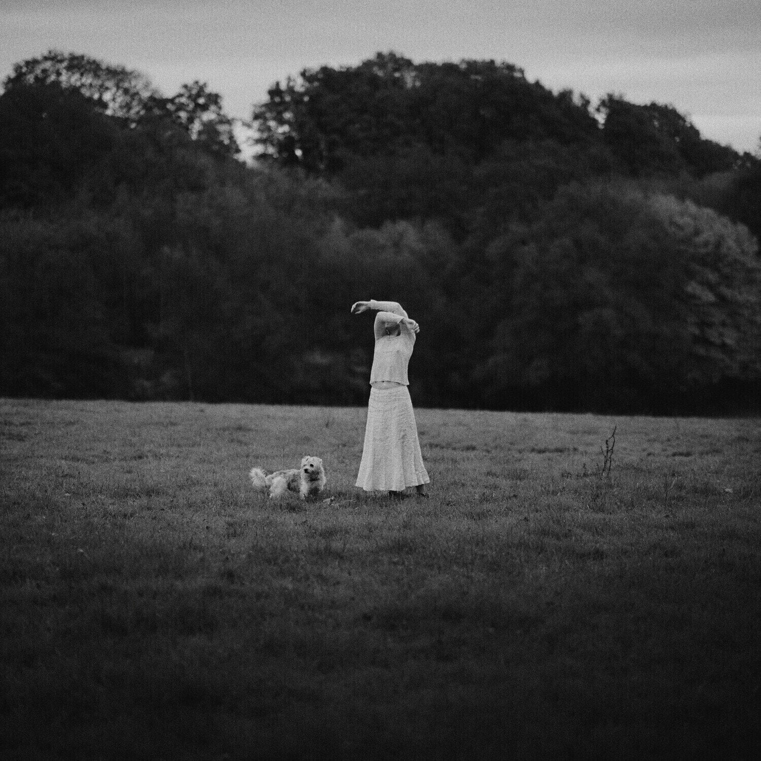 Vinyl Record Yoshika Colwell - On The Wing (Limited Edition) (LP)