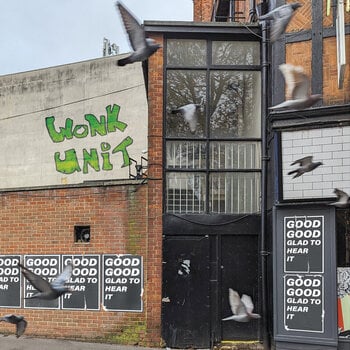 LP plošča Wonk Unit - Good Good Glad To Hear It (LP) - 1