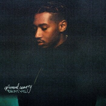 Disque vinyle Braths - Ephemeral Memory (Thomas Horeczeko) (LP) - 1