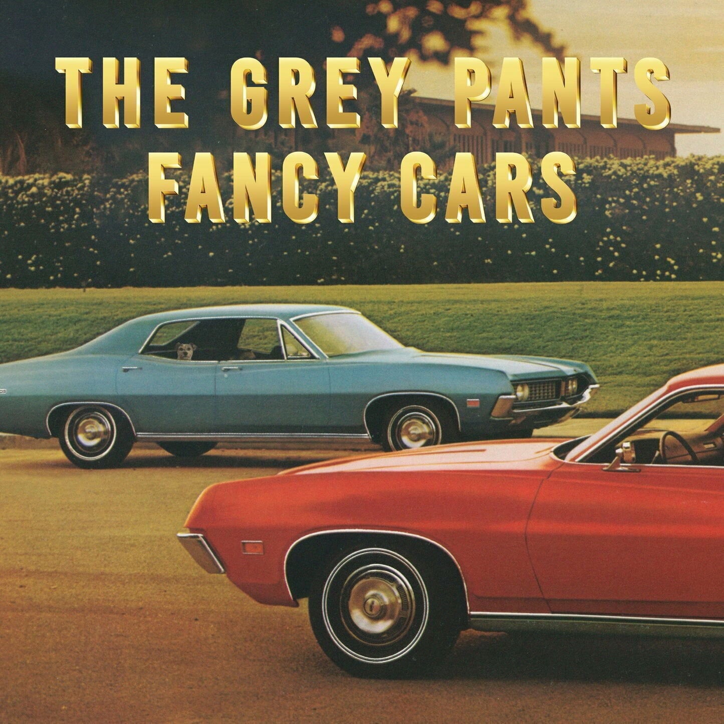 Disco de vinil The Grey Pants - Fancy Cars (LP)