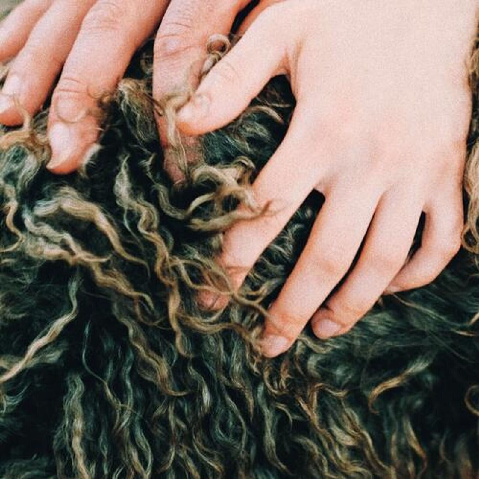 LP deska Divorce - Heady Metal (Limited Edition) (Pink Coloured) (EP)