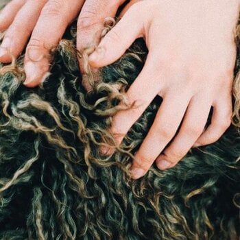 LP deska Divorce - Heady Metal (Limited Edition) (Pink Coloured) (EP) - 1