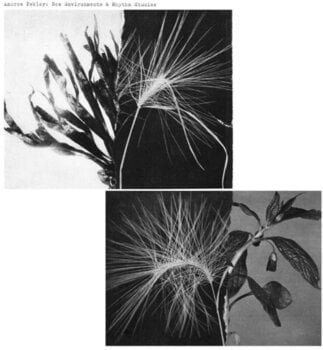 LP ploča Andrew Pekler - New Environments & Rhythm Studies (LP) - 1