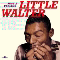 LP platňa Little Walter - Little Walter (Marion Walter Jacobs) (Limited Edition) (LP)