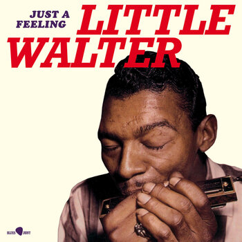 LP platňa Little Walter - Little Walter (Marion Walter Jacobs) (Limited Edition) (LP) - 1