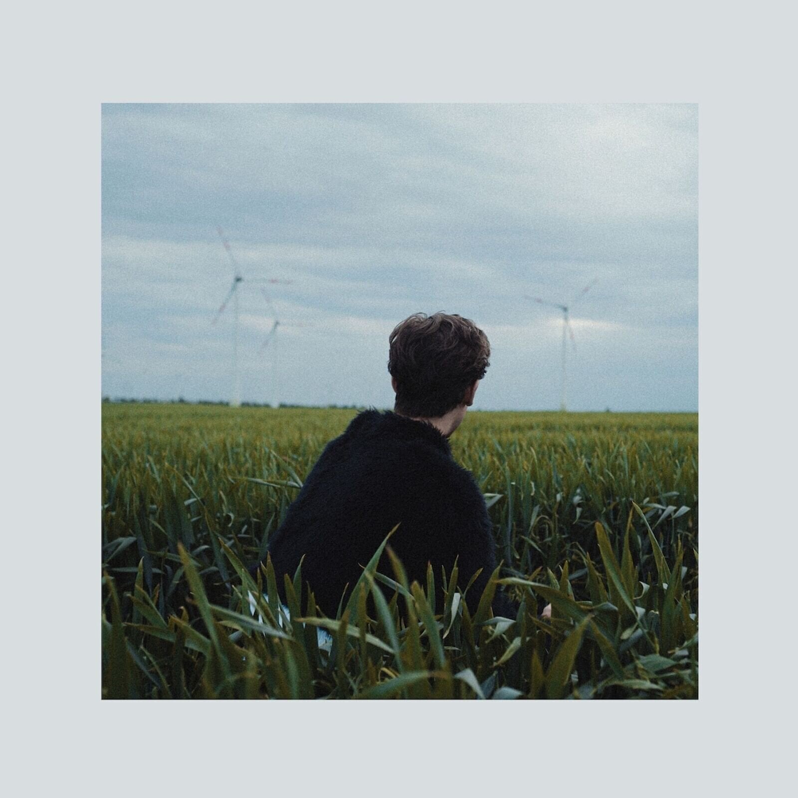 LP ploča Hotel Rimini - Gefährdete Arten (LP)