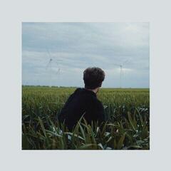 LP ploča Hotel Rimini - Gefährdete Arten (LP)