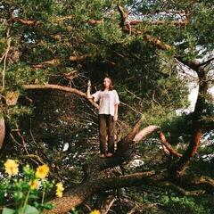 Vinyl Record PACKS - Melt The Honey (Limited Edition) (LP)