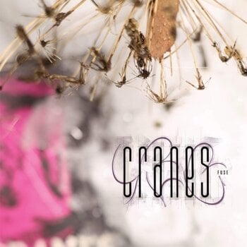 Disco de vinil Cranes - Fuse (Limited Indie Edition) (Magenta Coloured) (LP) - 1