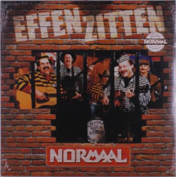 Disc de vinil Normaal - Effen Zitten (Reissue) (LP) - 1