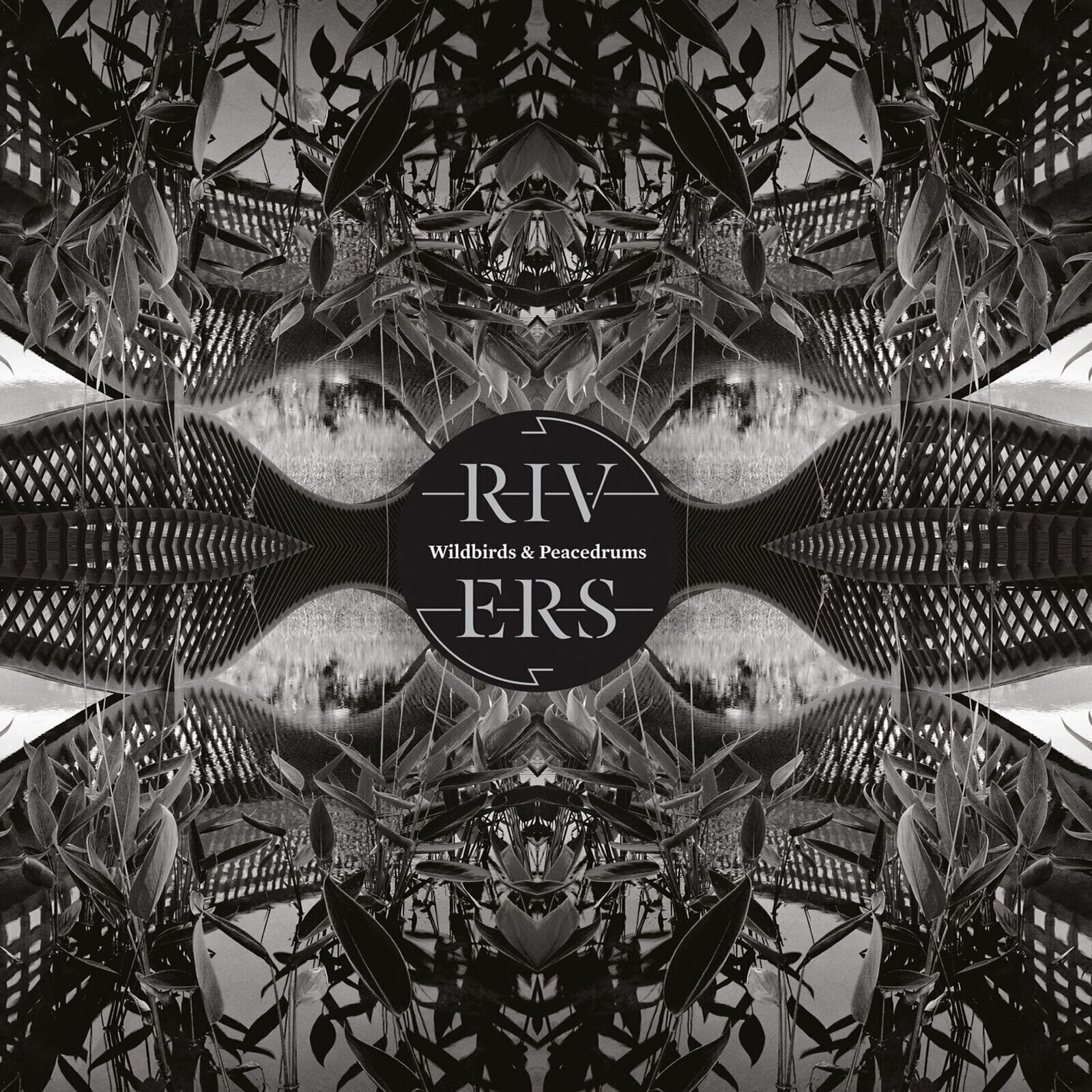 Disc de vinil Wildbirds & Peacedrums - Rivers (Limited Edition) (LP + CD)