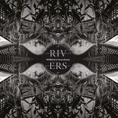 Disc de vinil Wildbirds & Peacedrums - Rivers (Limited Edition) (LP + CD)