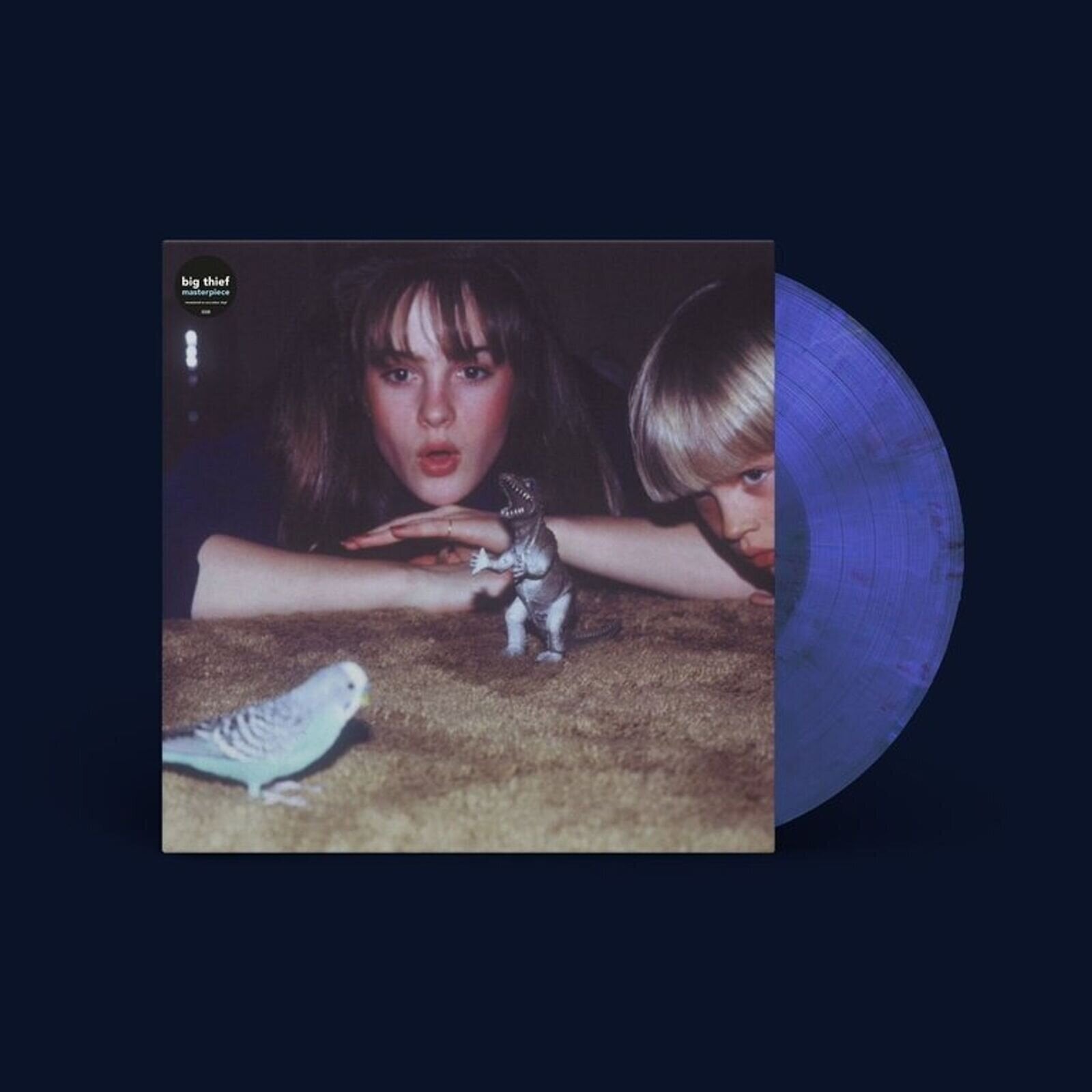 Disc de vinil Big Thief - Masterpiece (Reissue) (Randomly Eco-mix Recycled Coloured) (LP)