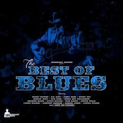 Vinyl Record Various Artists - The Best Of Blues (LP)