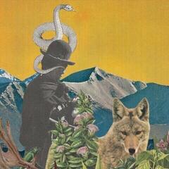 LP ploča Leslie Graves & Toby Goodshank - Between Worlds (LP)