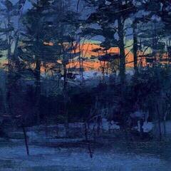 Płyta winylowa Animal Hospital - Shelf Life (LP)