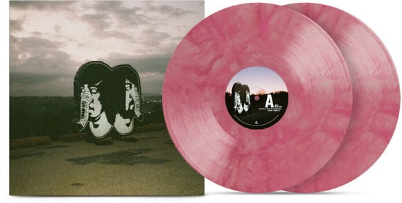 LP ploča Death From Above 1979 - The Physical World 11th Anniversary Deluxe Edition (Limited Edition) (Pink Splotch Coloured) (LP) - 1