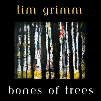 Vinylplate Tim Grimm - Bones Of Trees (LP) - 1