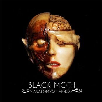 LP platňa Black Moth - Anatomical Venus (Limited Edition) (LP) - 1