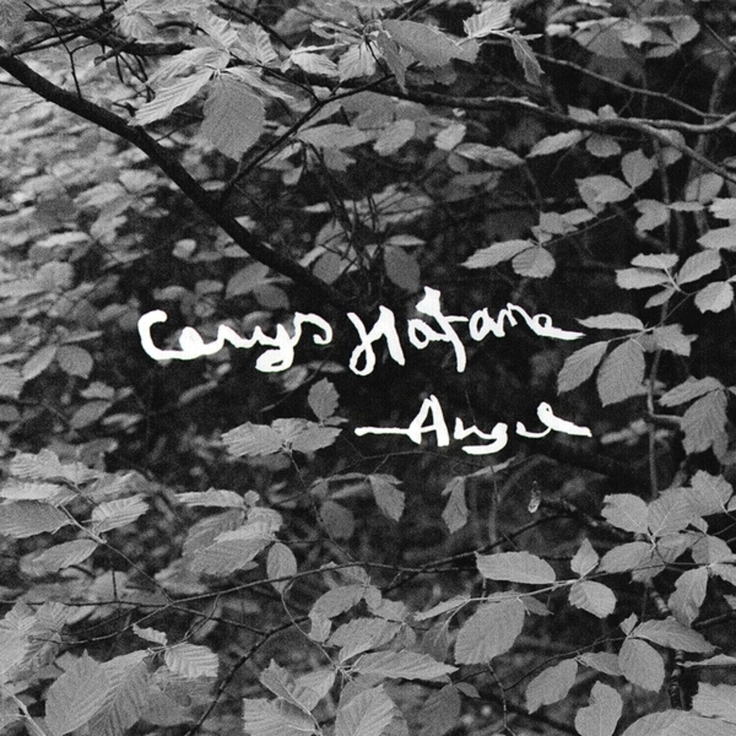 Disque vinyle Cerys Hafana - Angel (Bio Coloured) (LP)