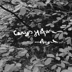 Disque vinyle Cerys Hafana - Angel (Bio Coloured) (LP)