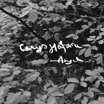 Disque vinyle Cerys Hafana - Angel (Bio Coloured) (LP) - 1