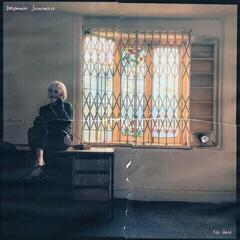 Disco de vinilo Desperate Journalist - No Hero (White Coloured) (LP)