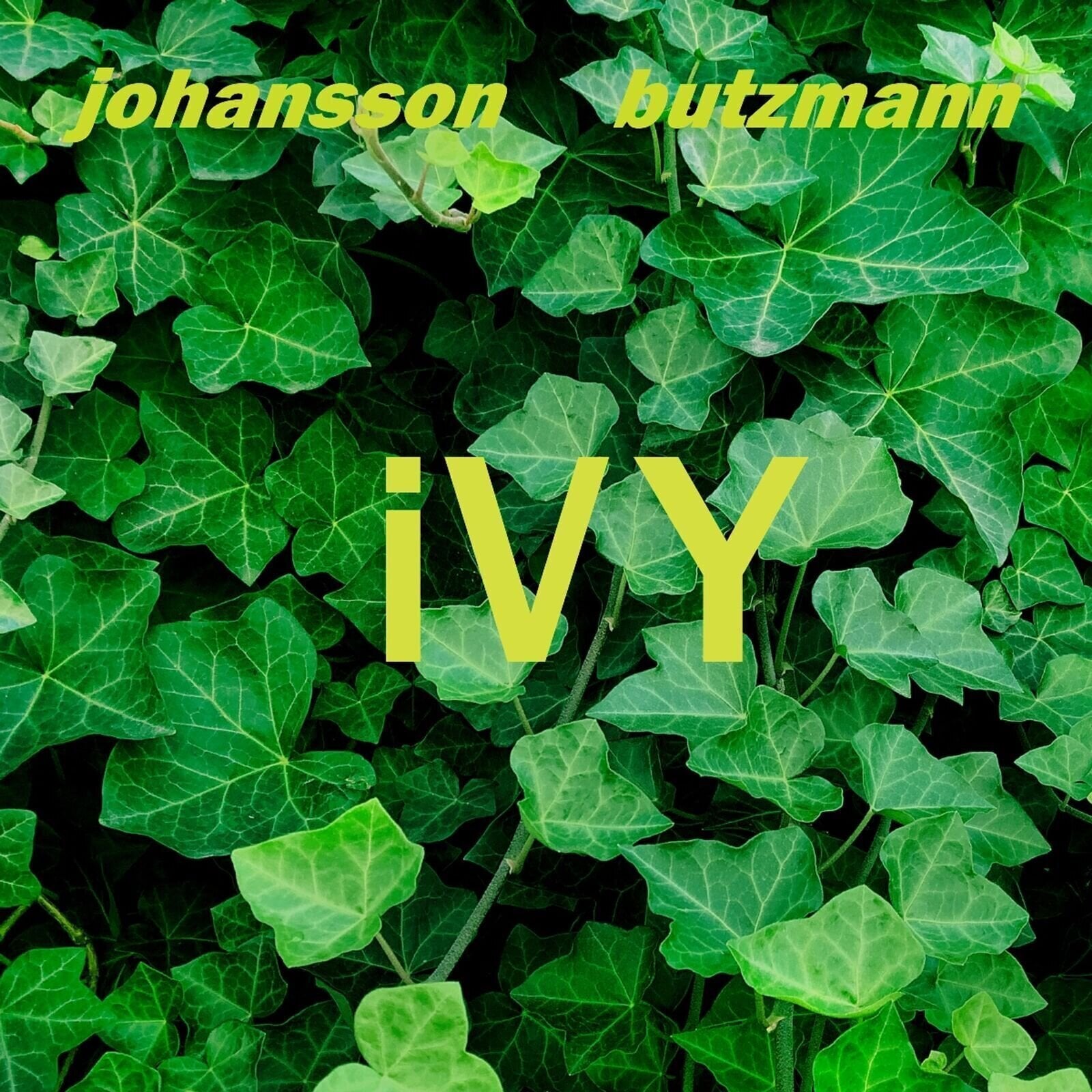 Disque vinyle Frieder Butzmann Ivy (LP)