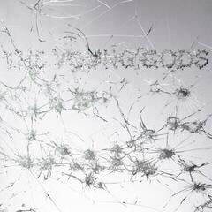 Vinylplade The Young Gods - Appear Disappear (LP + CD)