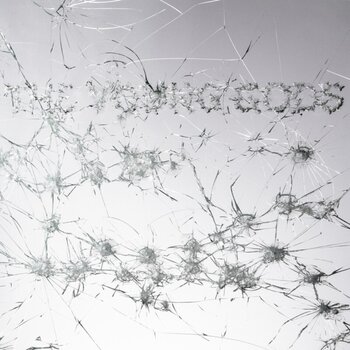 Płyta winylowa The Young Gods - Appear Disappear (LP + CD) - 1