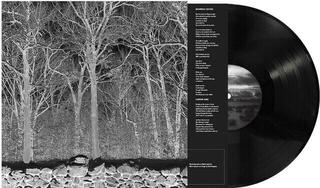 LP ploča Pile - Sunshine and Balance Beams (Limited Edition) (LP)