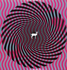 Disc de vinil Deerhunter - Cryptograms / Fluorescent Grey (2 LP)