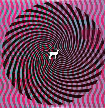 Disc de vinil Deerhunter - Cryptograms / Fluorescent Grey (2 LP) - 1