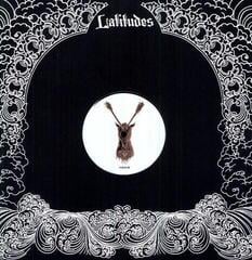 LP ploča The Black Deer - Requiem (Fallen) (LP)