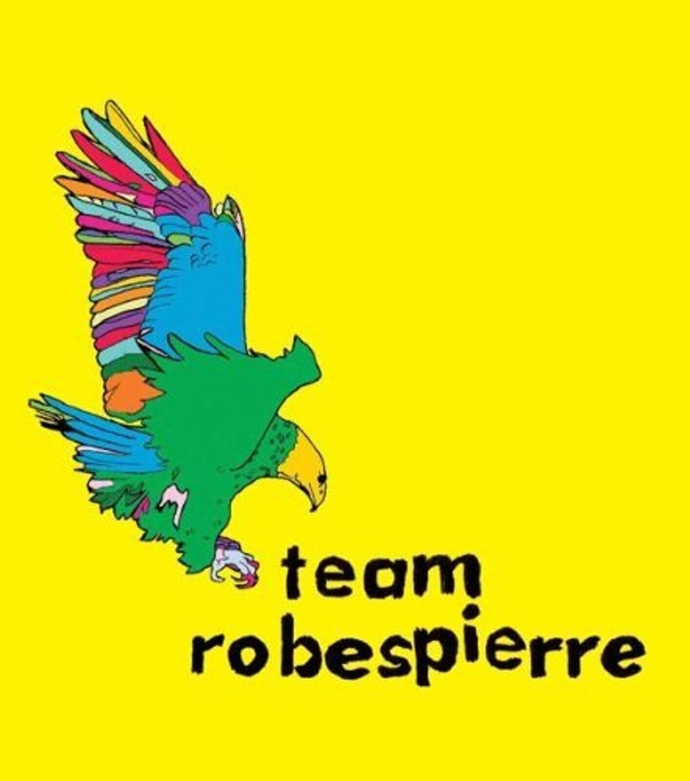 Disc de vinil Team Robespierre - Everything's Perfect (LP)