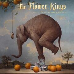Vinylplate The Flower Kings - Waiting For Miracles (Limited Edition) (Blade Bullet Coloured) (2 LP)