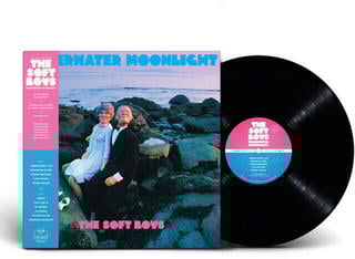 Грамофонна плоча The Soft Boys - Underwater Moonlight (Reissue) (140 g) (LP)
