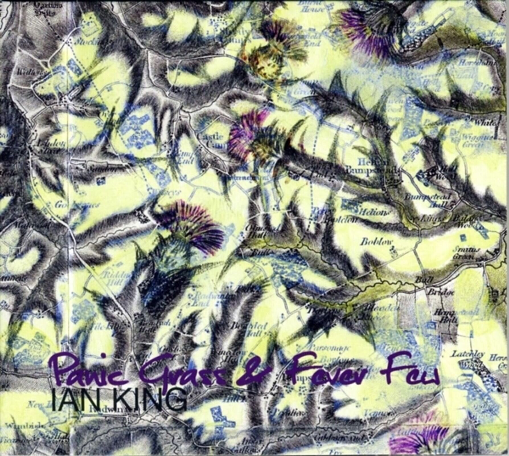 Vinylplate Ian King - Panic Grass & Fever Few (180 g) (LP)