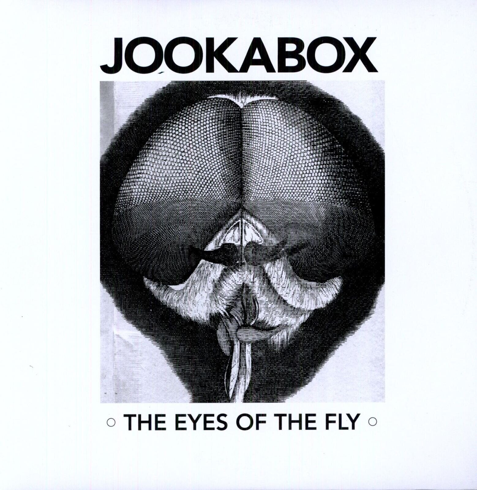 Vinyl Record Grampall Jookabox - The Eyes Of The Fly (LP)