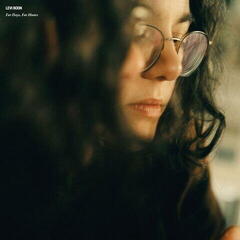 Disco de vinil Levi Boon - For Days, For Hours (LP)