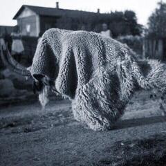 LP ploča Random Gods - Pneuma (LP)