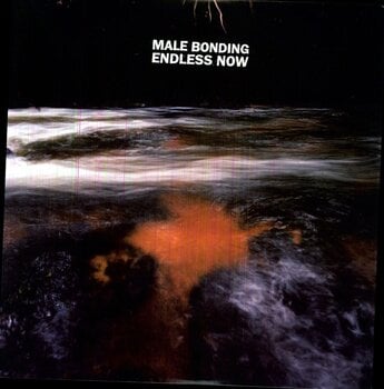 Disc de vinil Male Bonding - Endless Now / Rough Trade Acoustic Bonus (Limited Edition) (LP) - 1
